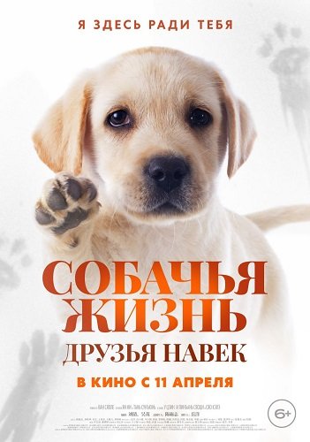 Собачья жизнь: Друзья навек (2023) WEB-DLRip 1080p | Чистый звук